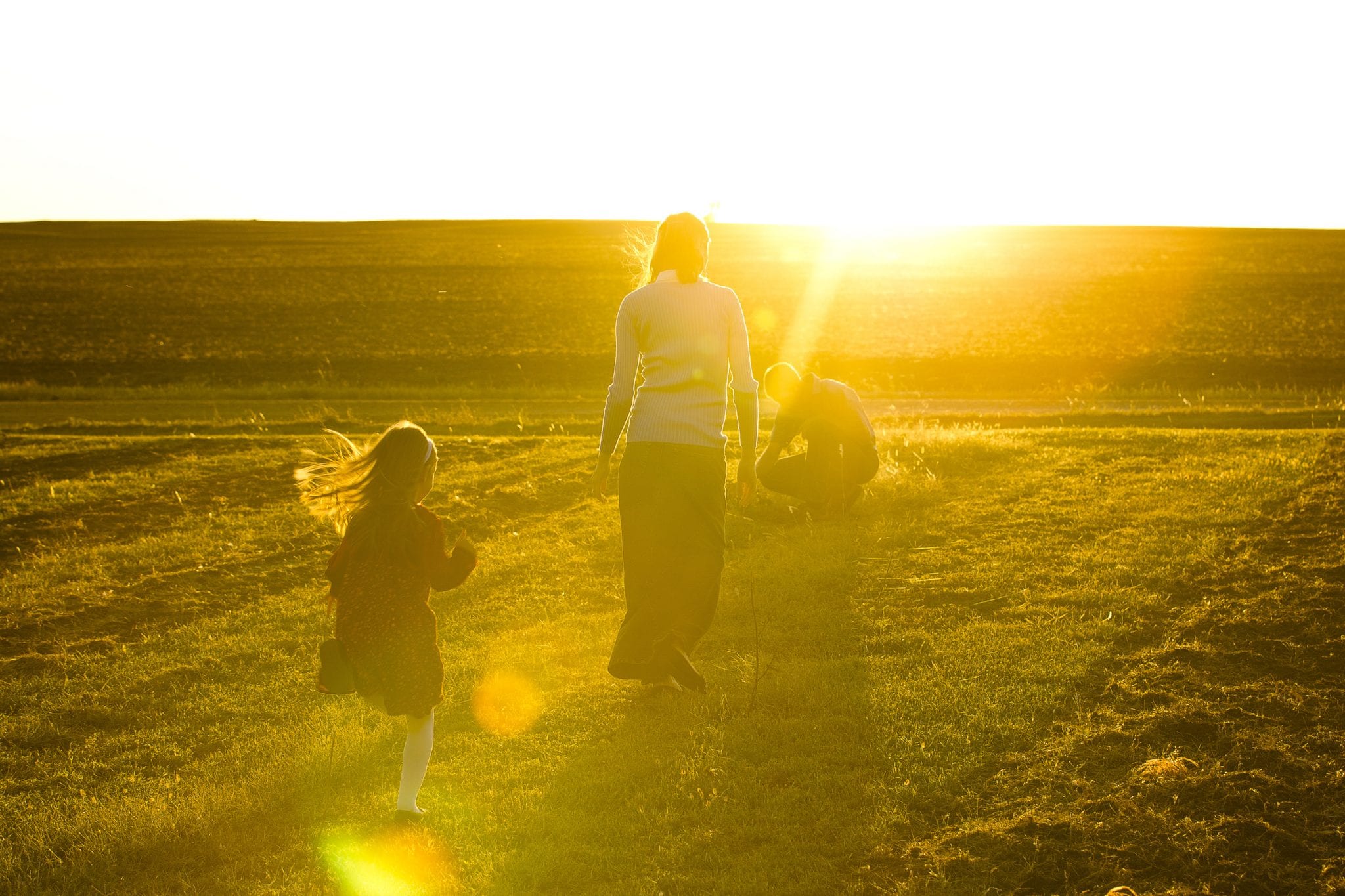Family farmers facing worst financial stretch since the 1980s