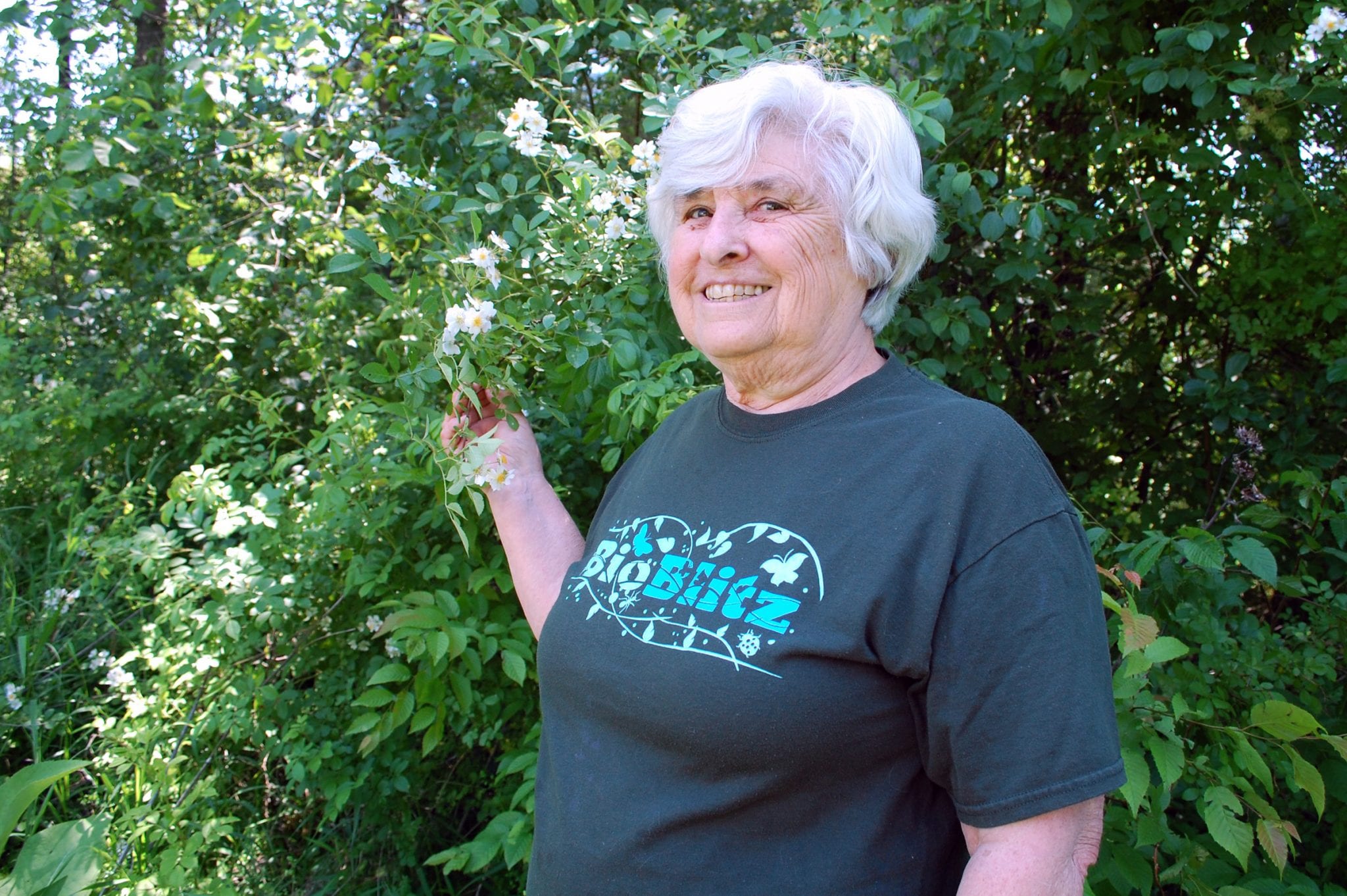 BioBlitz helps Mercy sisters catalog all forms of life on Vermont farm