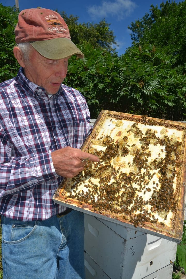 Thanks ‘bee’ to God: Iowa beekeeper honored for service as catechist