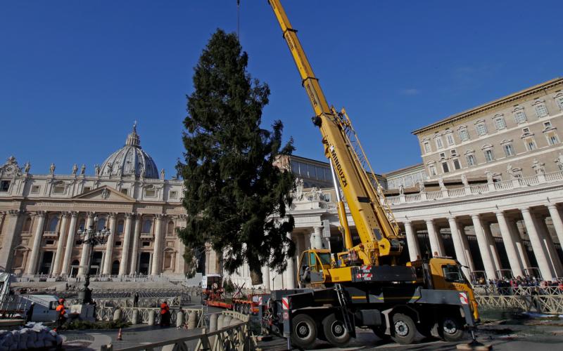 Nativity scene, Christmas tree are visible signs of God’s compassion