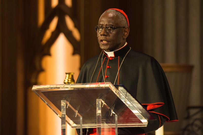 Mary, Mother of the Church should be celebrated this year, cardinal says