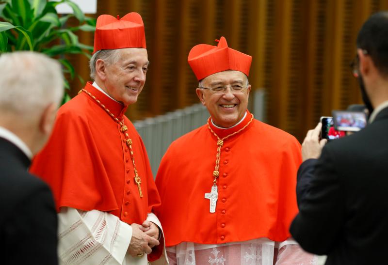 Church must empower indigenous, not speak for them, cardinal says