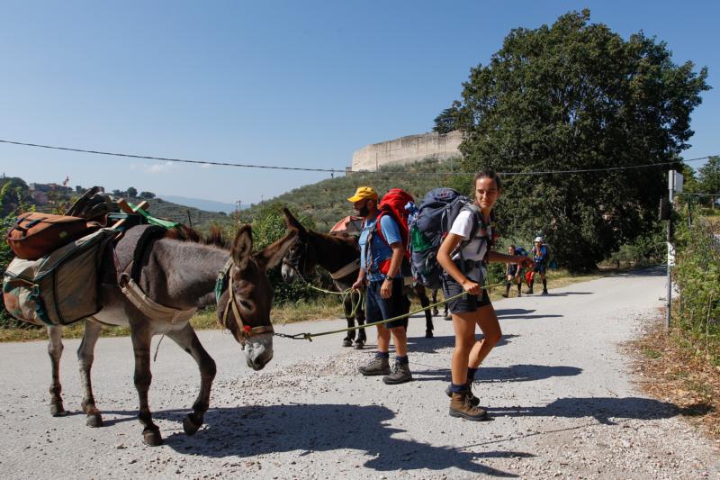 Scouting for faith: Young Italians seek God, vocations on pilgrimage