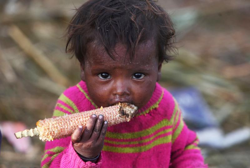 Lack of progress fighting hunger is shameful, pope says