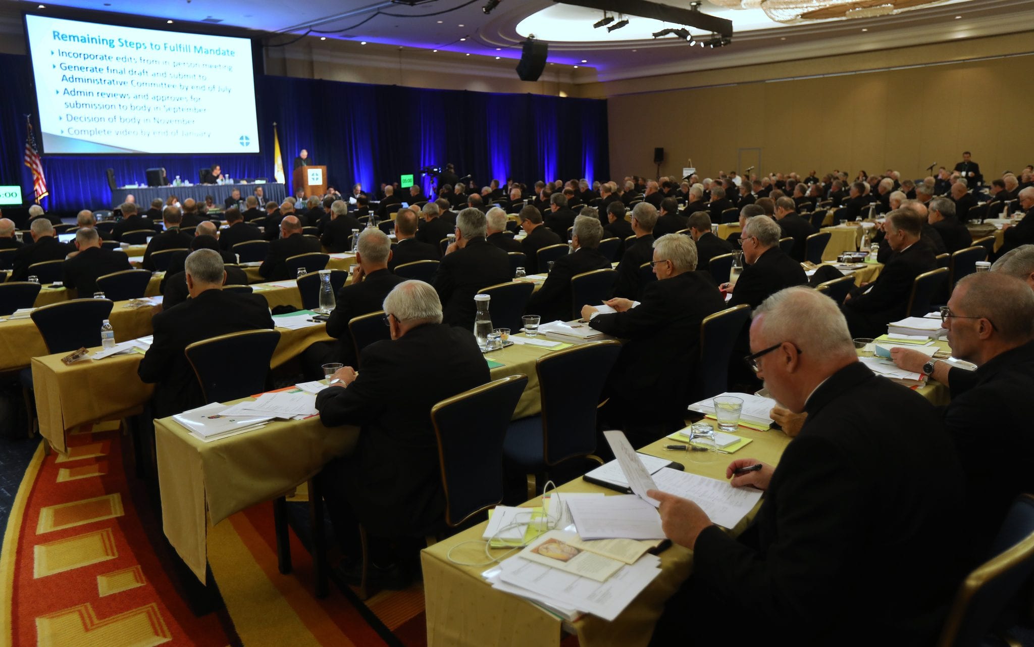 U.S. bishops vote to design hotline for reporting complaints against bishops
