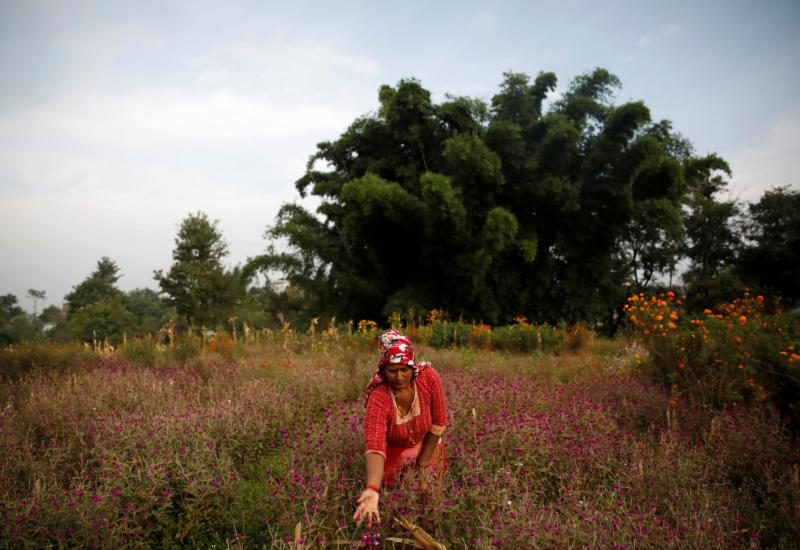 Christians, Hindus must show world peace is possible, official says