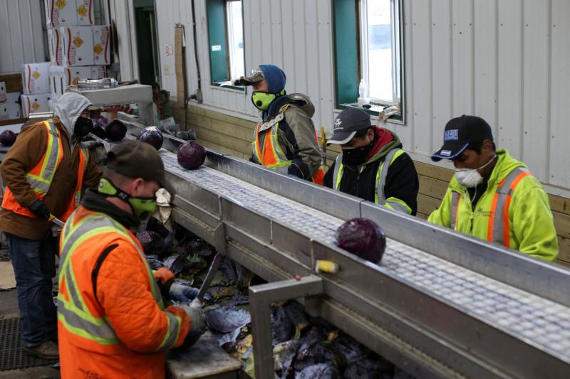 Czerny: Pandemic made people grasp role of migrants as essential workers