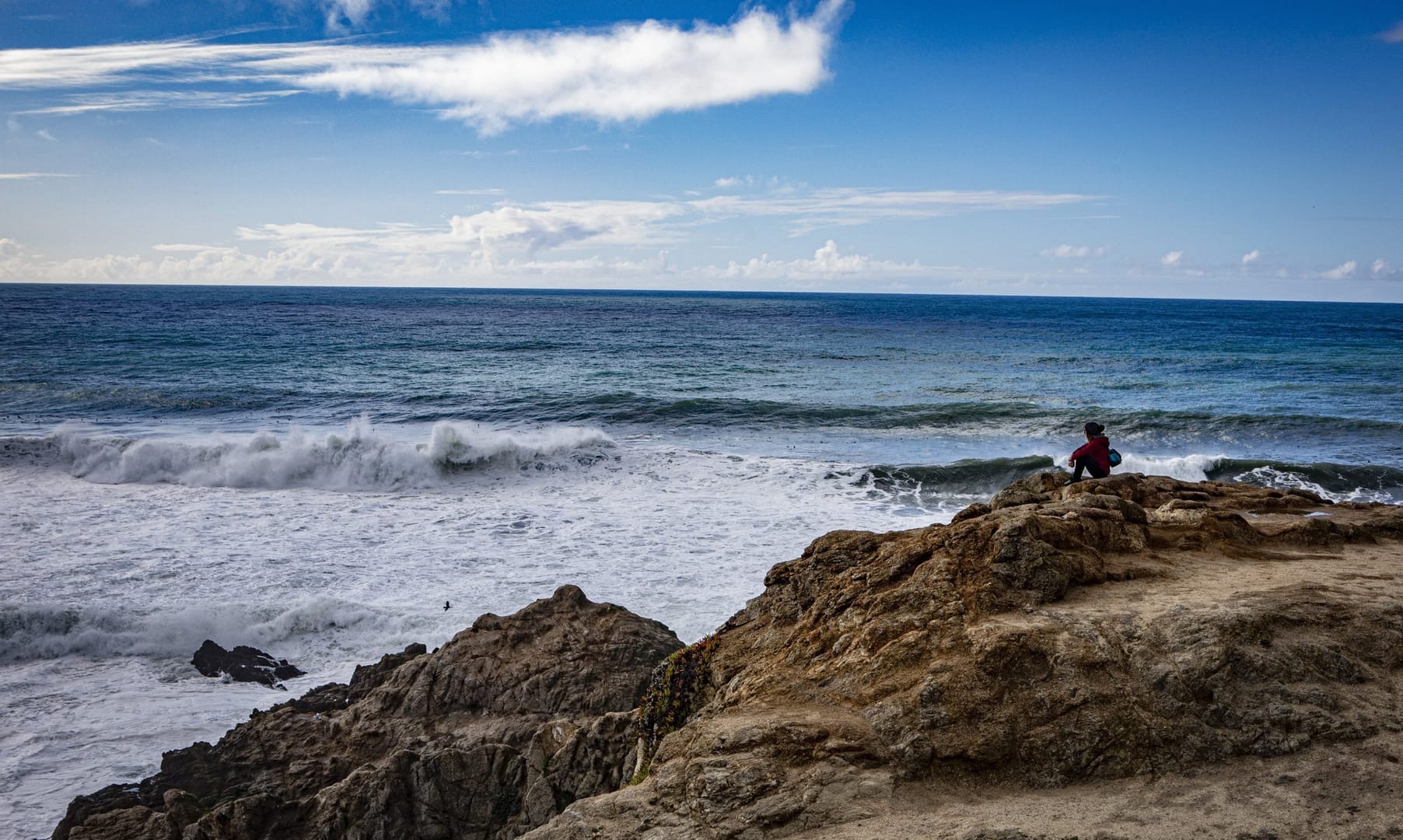 Life on earth depends on healthy oceans, Vatican panelists say