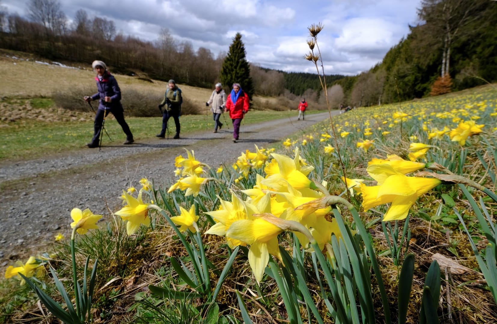 Vatican readies to roll out ‘spectacular’ action plan for ‘Laudato Si’