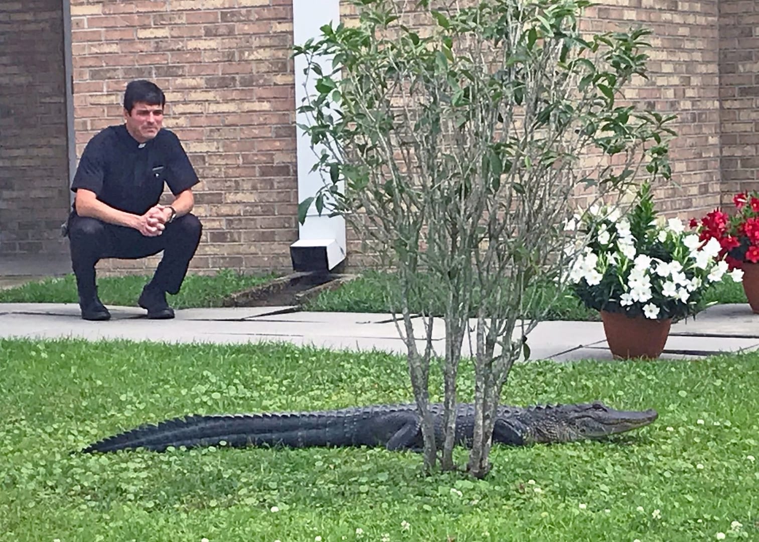 Louisiana Catholic church rolling out red carpet for lapsed gators