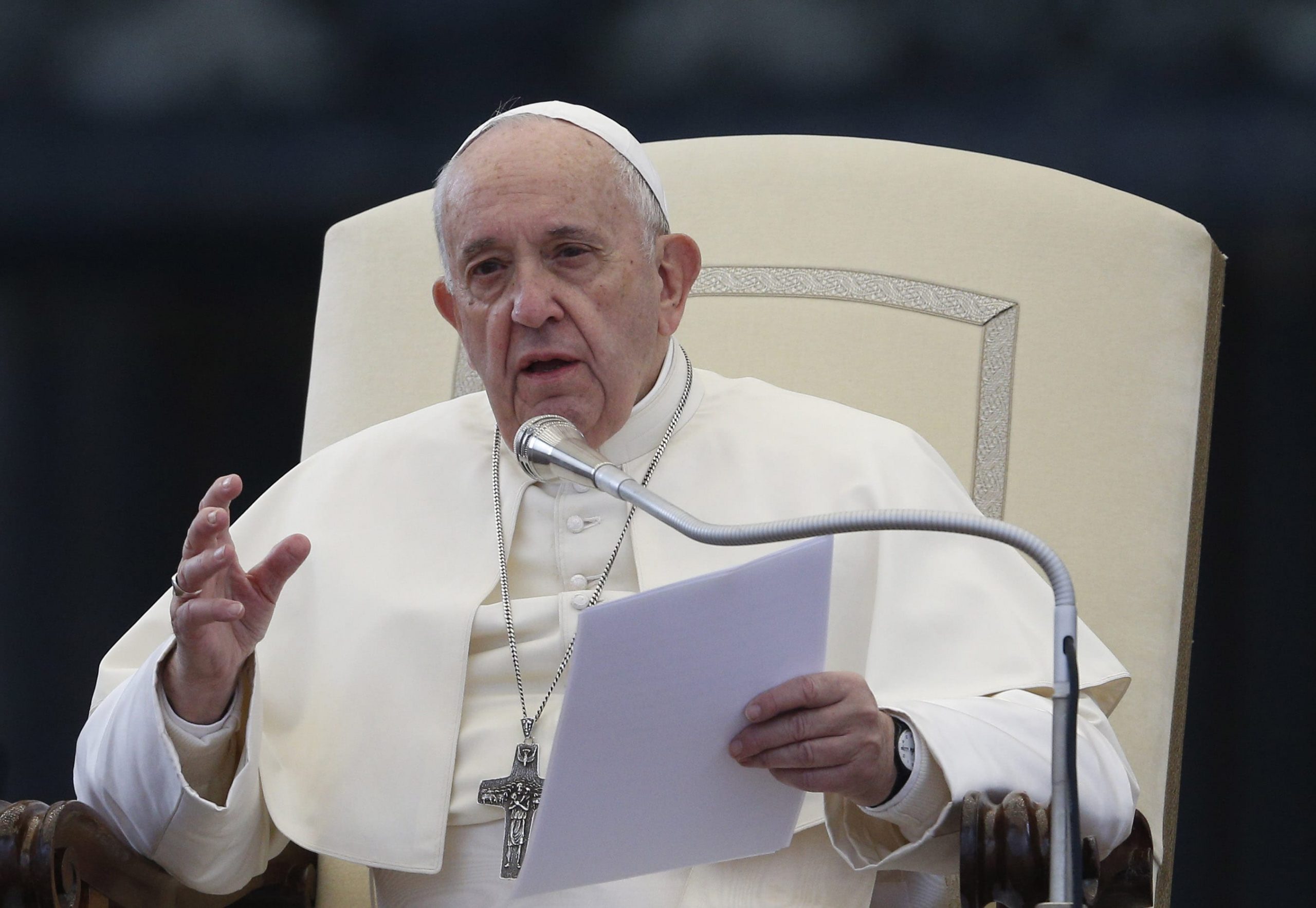 Pope considering adding ‘sin against ecology’ to Church’s catechism