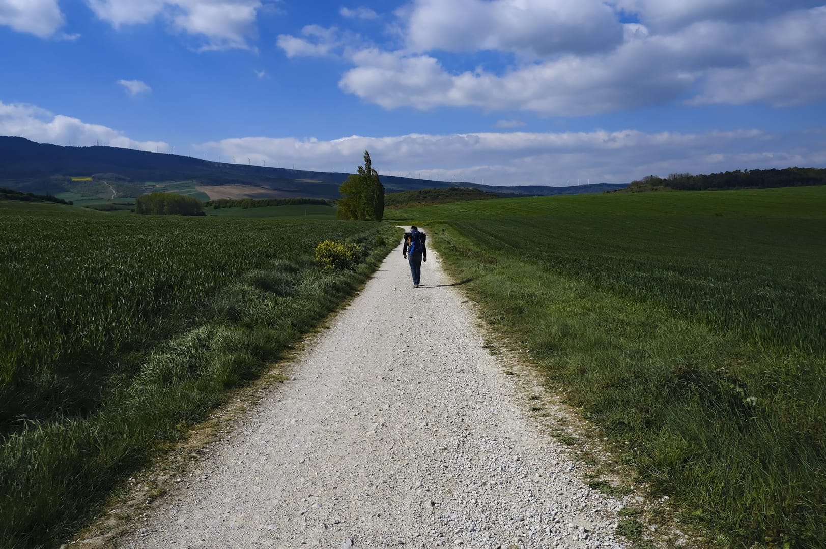Pilgrims return to Spain’s ‘El Camino’ paths after pandemic