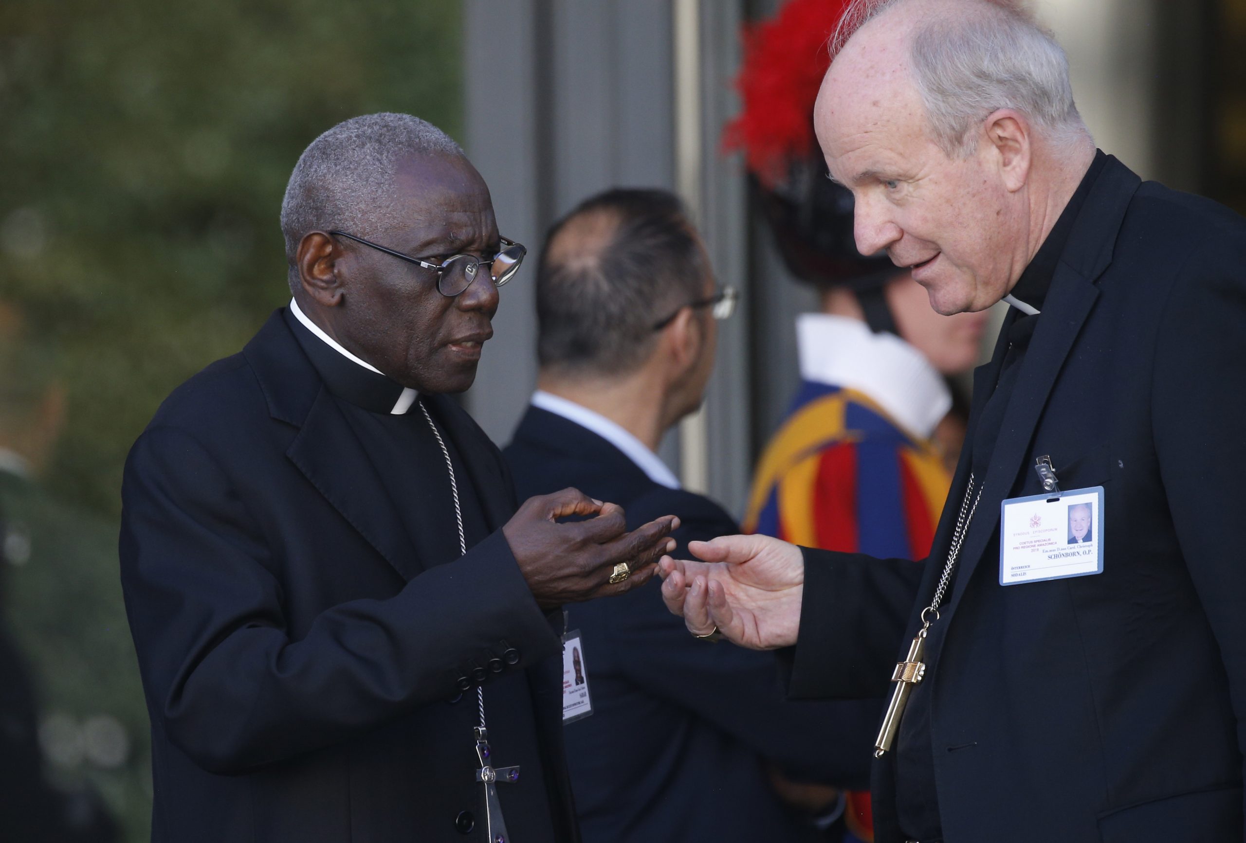 Cardinal Sarah: To oppose the pope is to be outside the Church