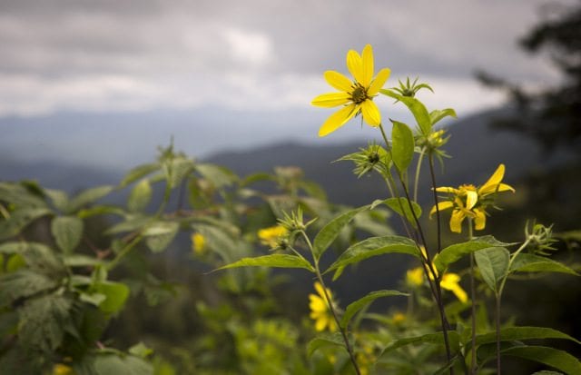 ‘Parish of the Smokies’ ministers to hikers and nature-lovers