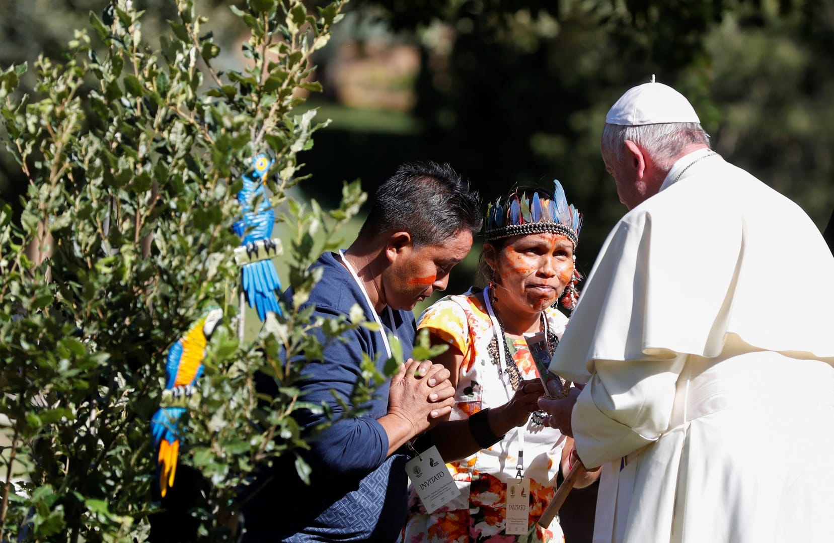 On feast of St. Francis, Pope joins Amazonians to plant tree at Vatican