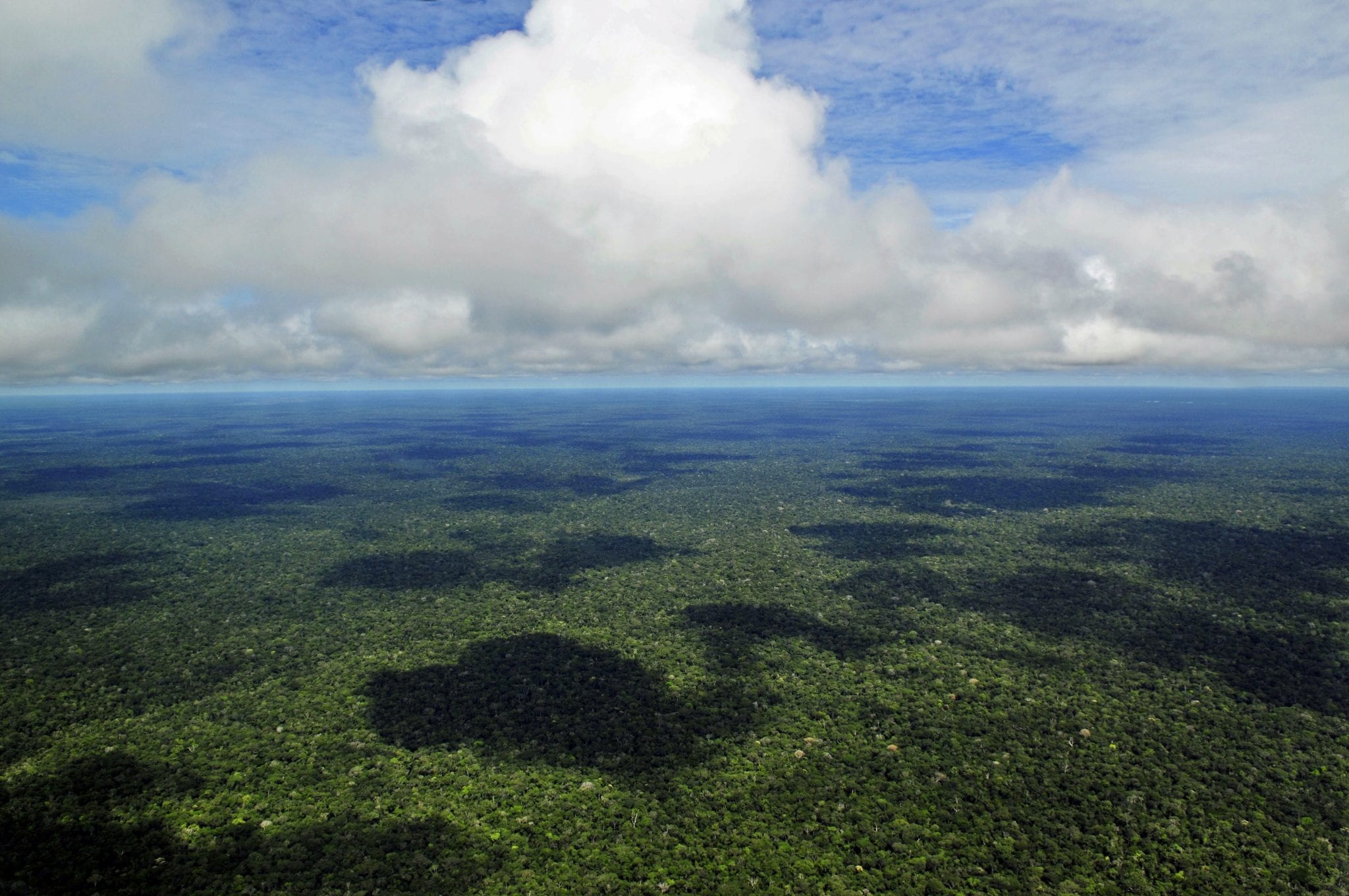 Catholics, indigenous ask commission to protect land rights