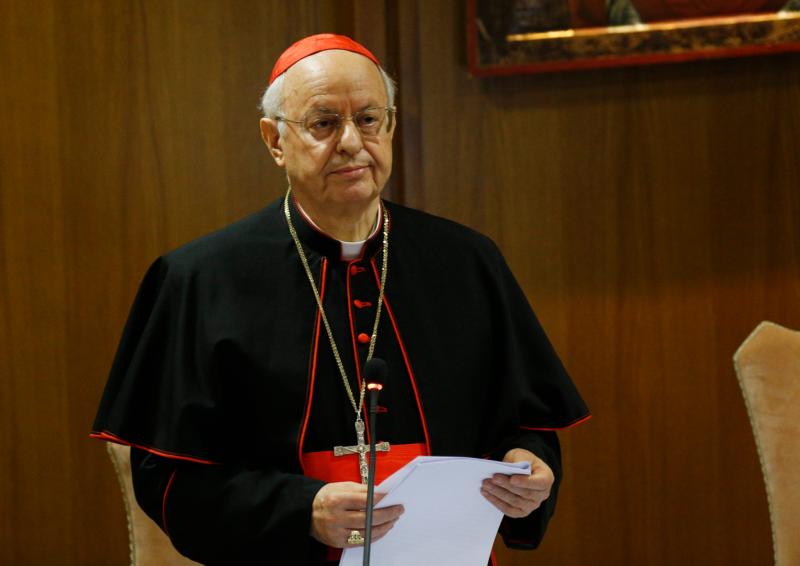 How the synod works: Cardinal shares statistics, working rules