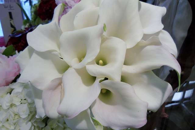 Christian florist loses religious liberty case, will appeal to U.S. Supreme Court