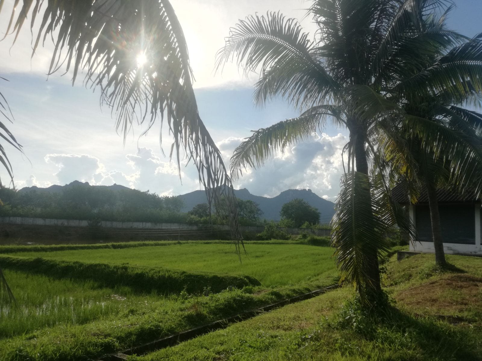 Italian missionary brings the faith to Thailand, one espresso at a time