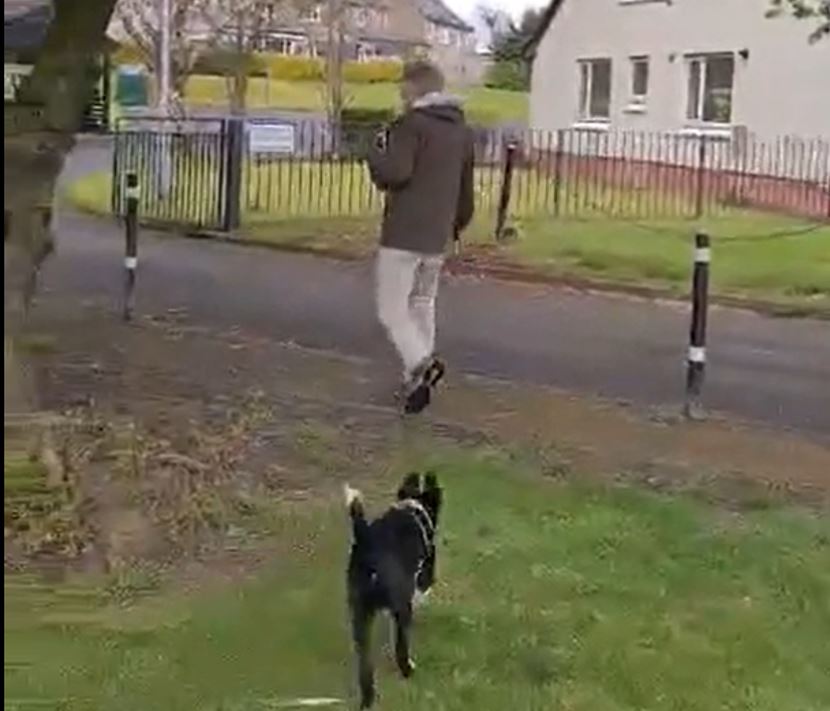 Scottish priest investigated after threatening to poison dogs