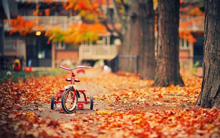November remembrances