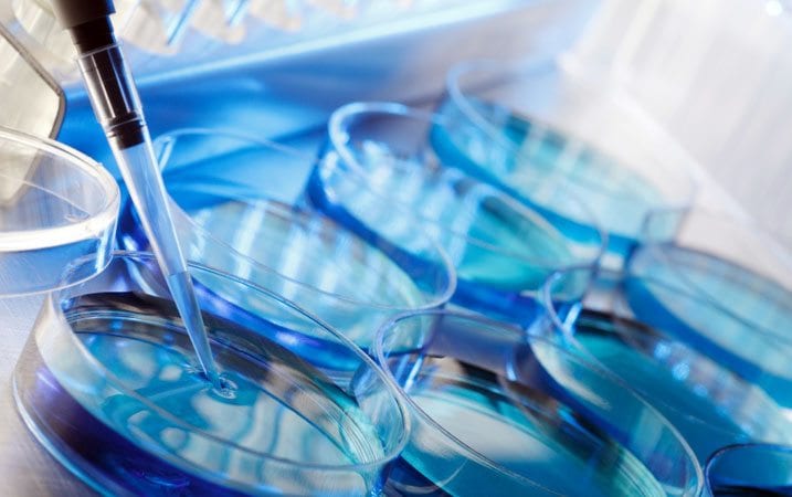 A Catholic dilemma: Should IVF embryos be adopted? | Crux A Catholic dilemma: Should IVF embryos be adopted? | Crux