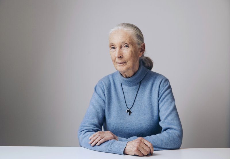 Jane Goodall says Pope Francis is a ‘reason for hope’ in the future