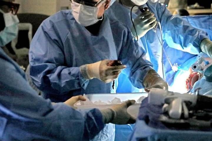 Bishops issue organ donation guidelines after England starts ‘opt out’ system