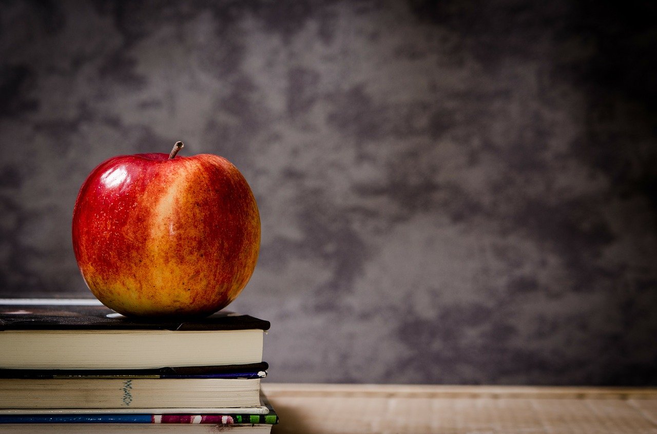South Carolina sued by private schools who want public money