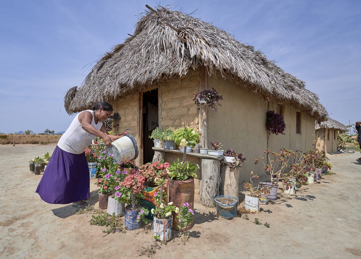 God in all things: Synod looks at indigenous ‘theology of creation’