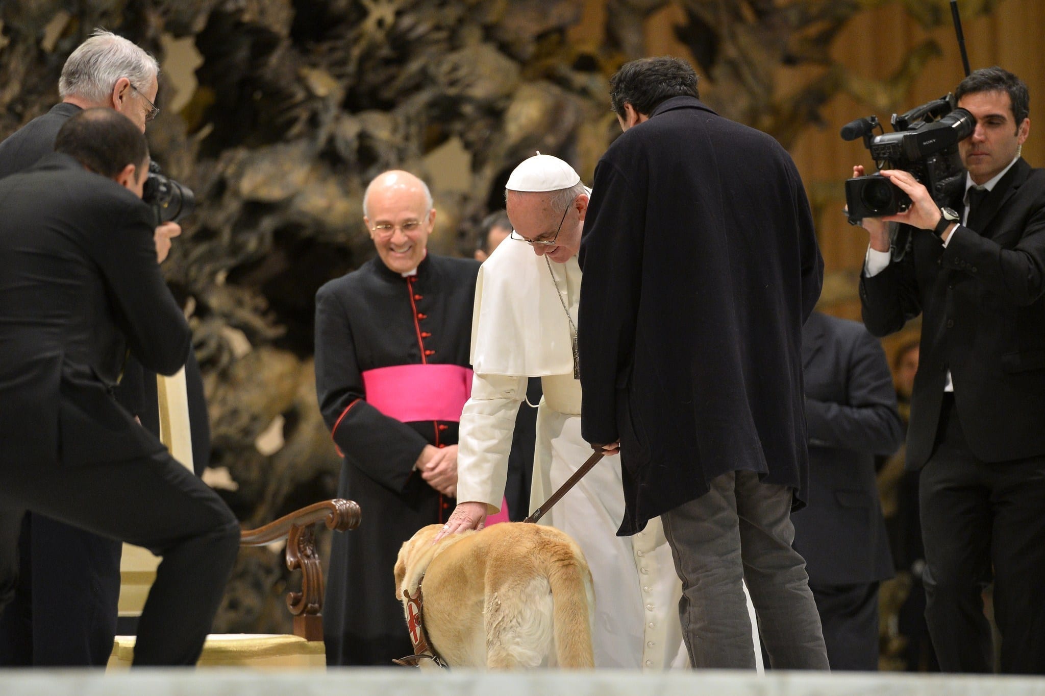 UK-based group promotes a Catholic take on animal rights