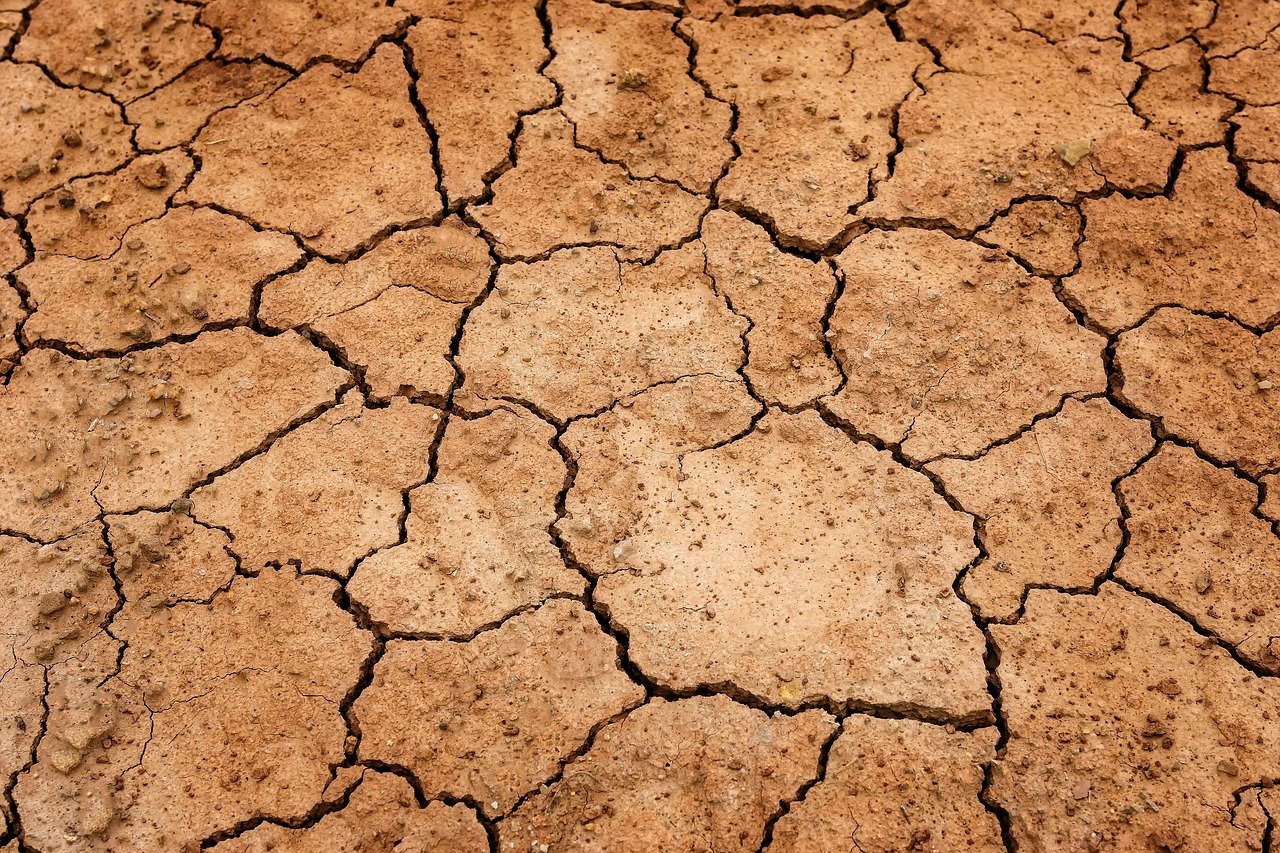 Drought could cause tens of millions of Ethiopians into food crisis