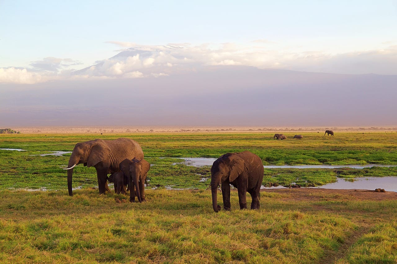 Conference tries to tackle climate crisis in Africa