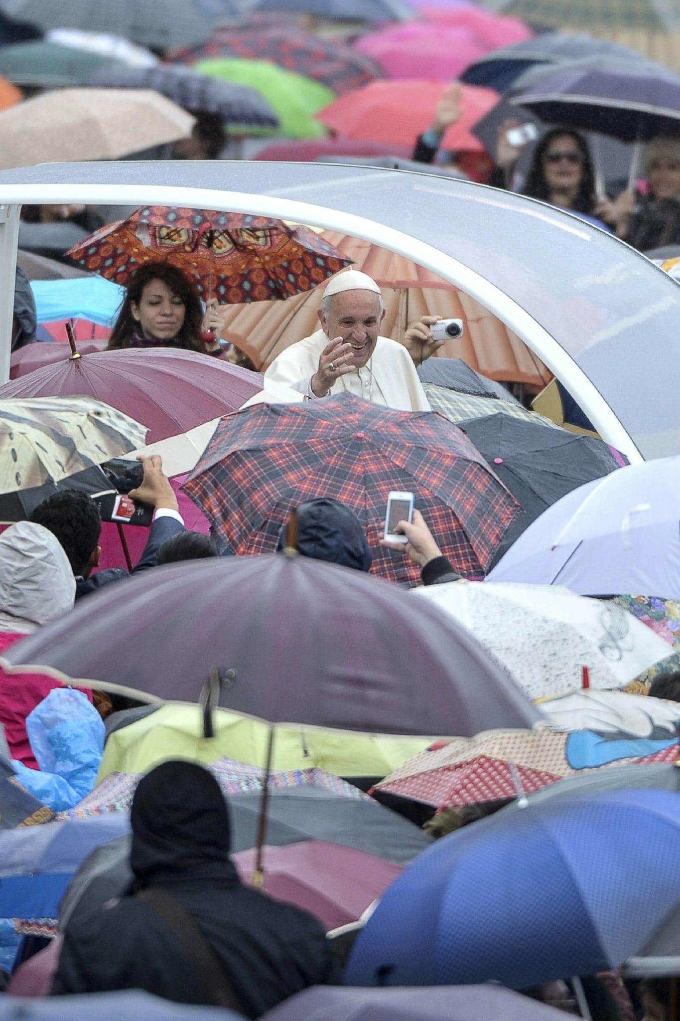 Pope says you can’t be pro-animal but indifferent to people