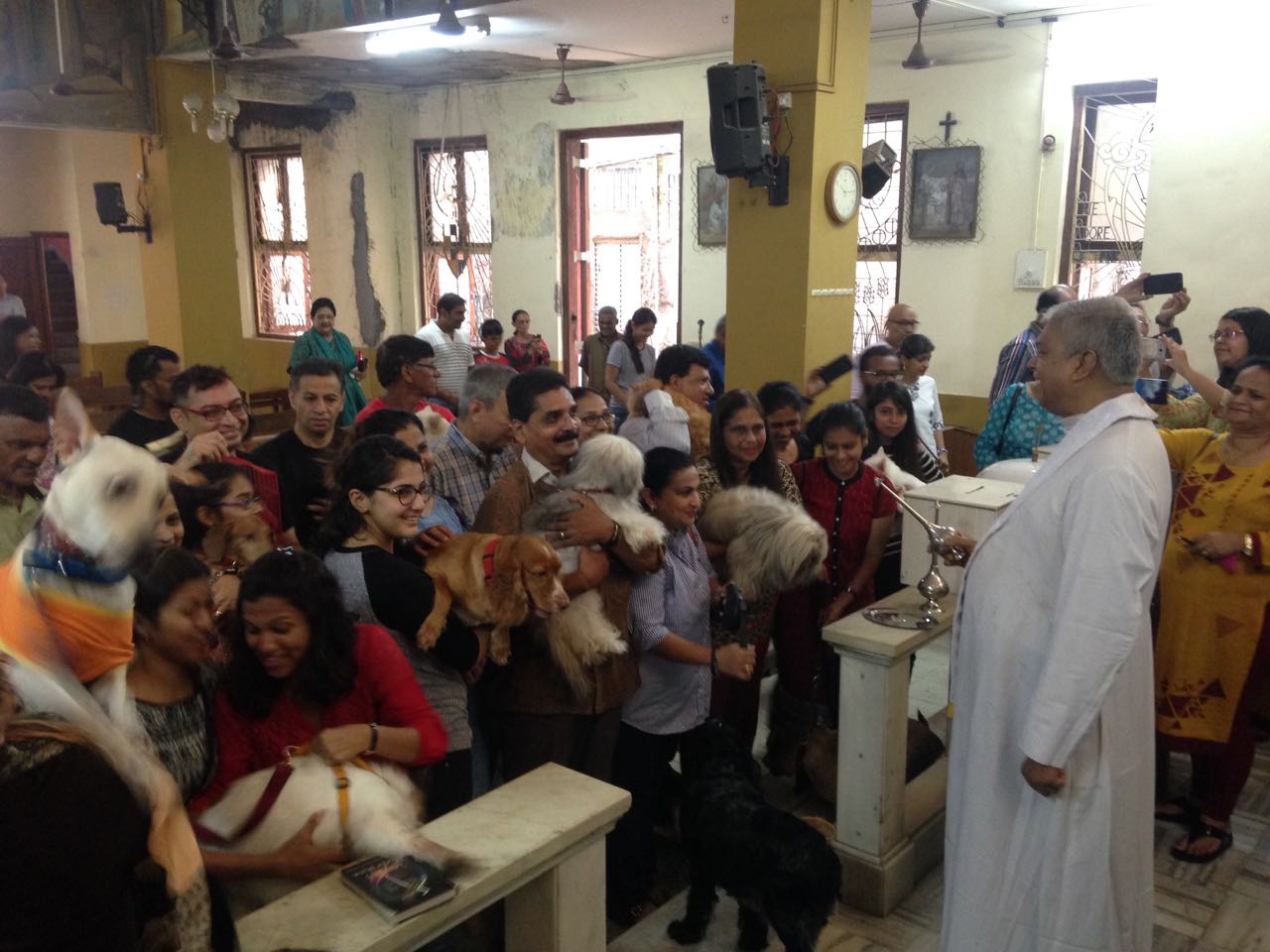 Animal blessing in India brings different faiths together