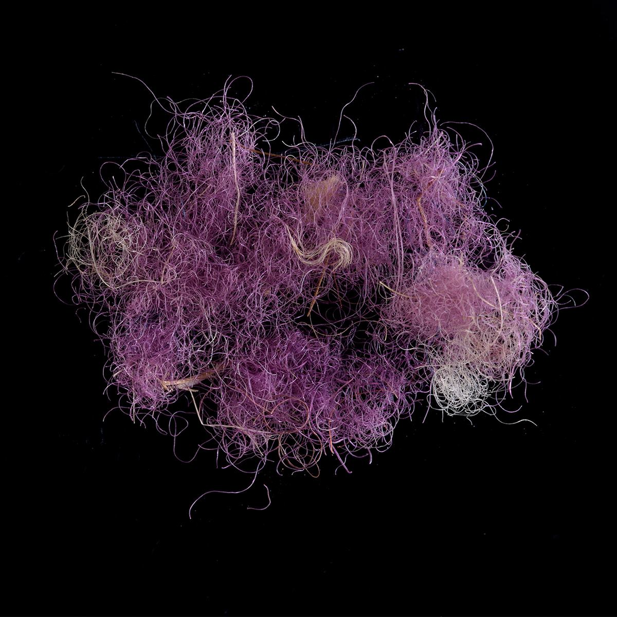 Ancient fabric shows how King David may have dressed