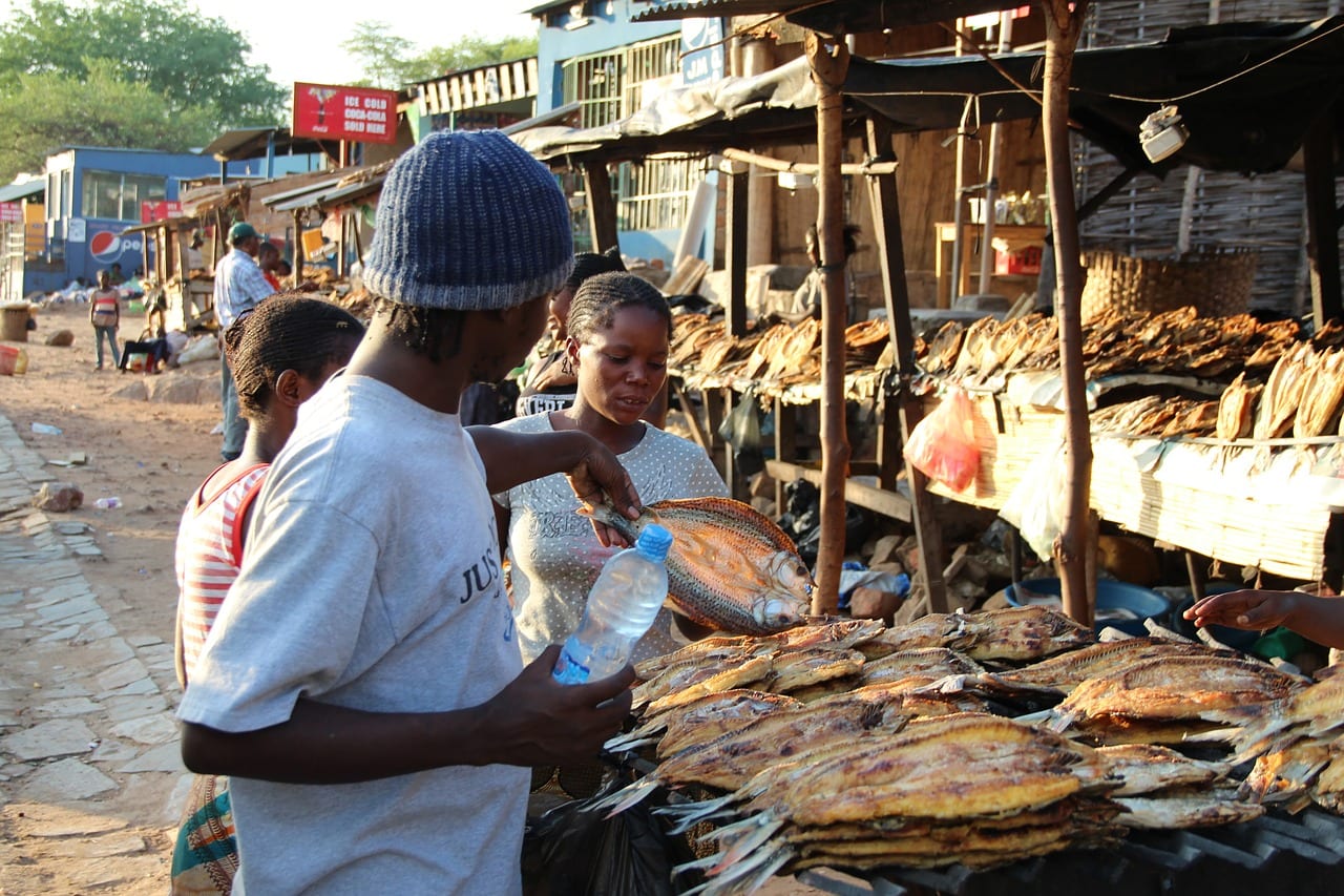 Catholic Relief Services works to stop ‘stunting’ in Zambia