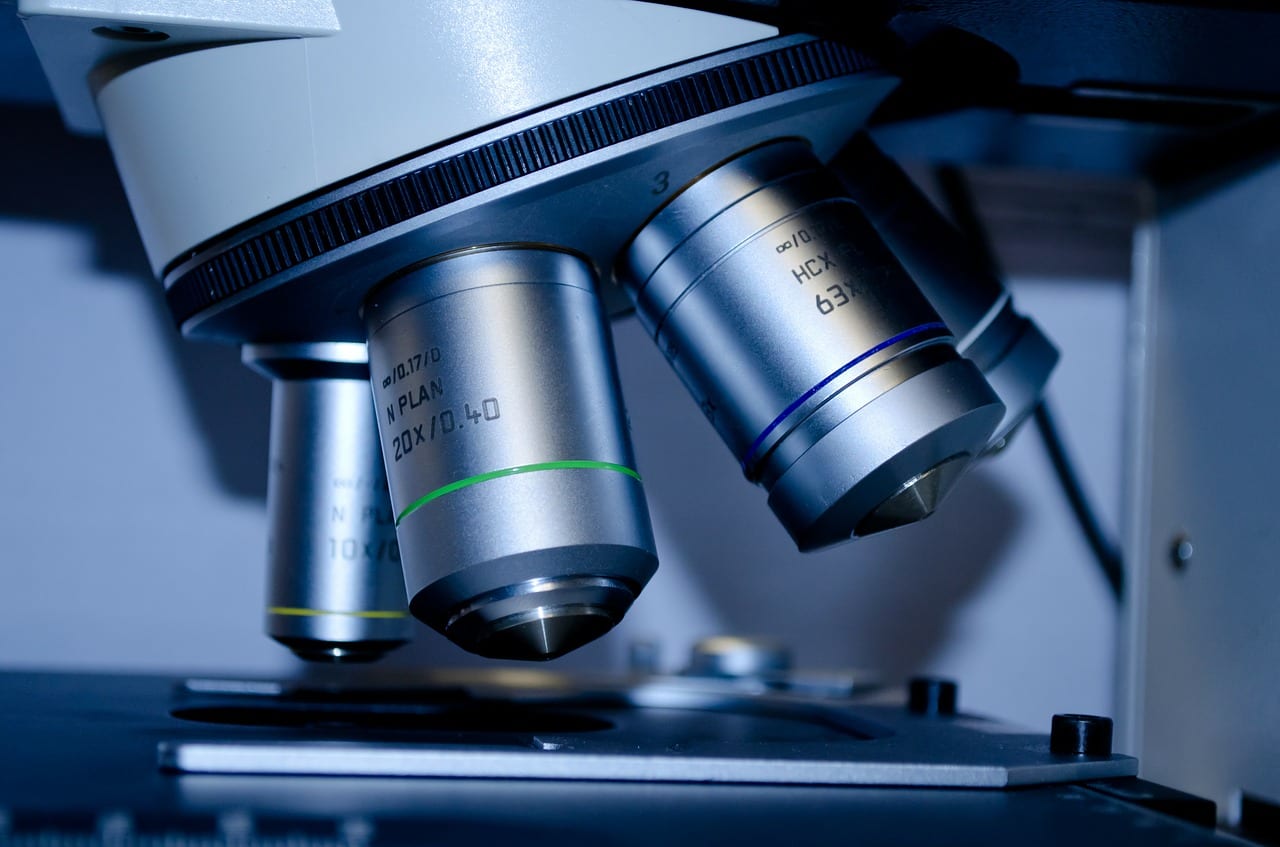 USCCB official calls defense of fetal tissue research ‘deeply disturbing’