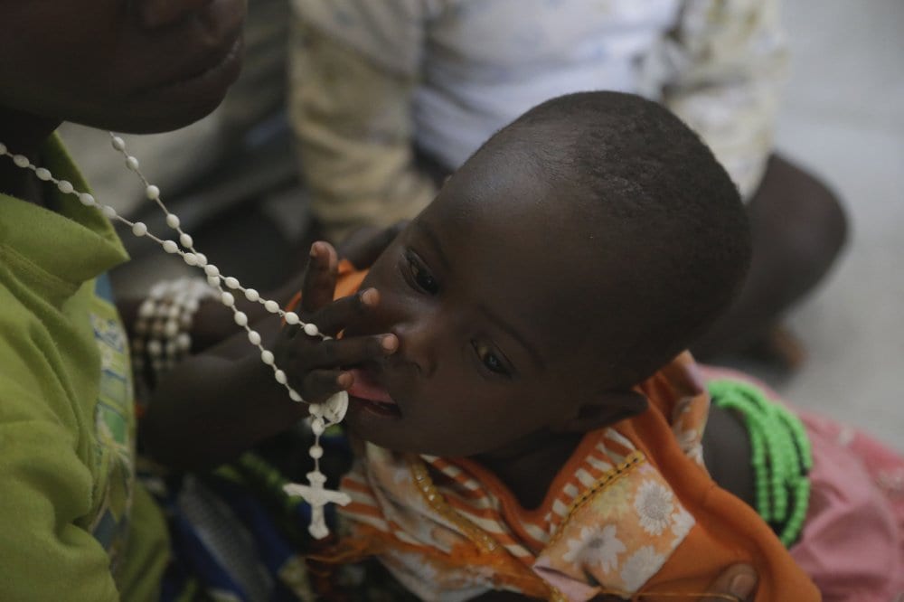 Cardinal defends Nigeria’s Shia Muslim minority after crackdown