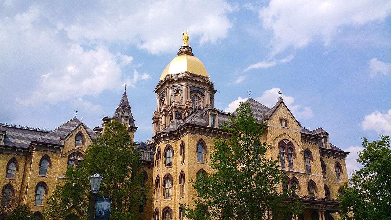 Writer: Women have unique role during abuse crisis in Church