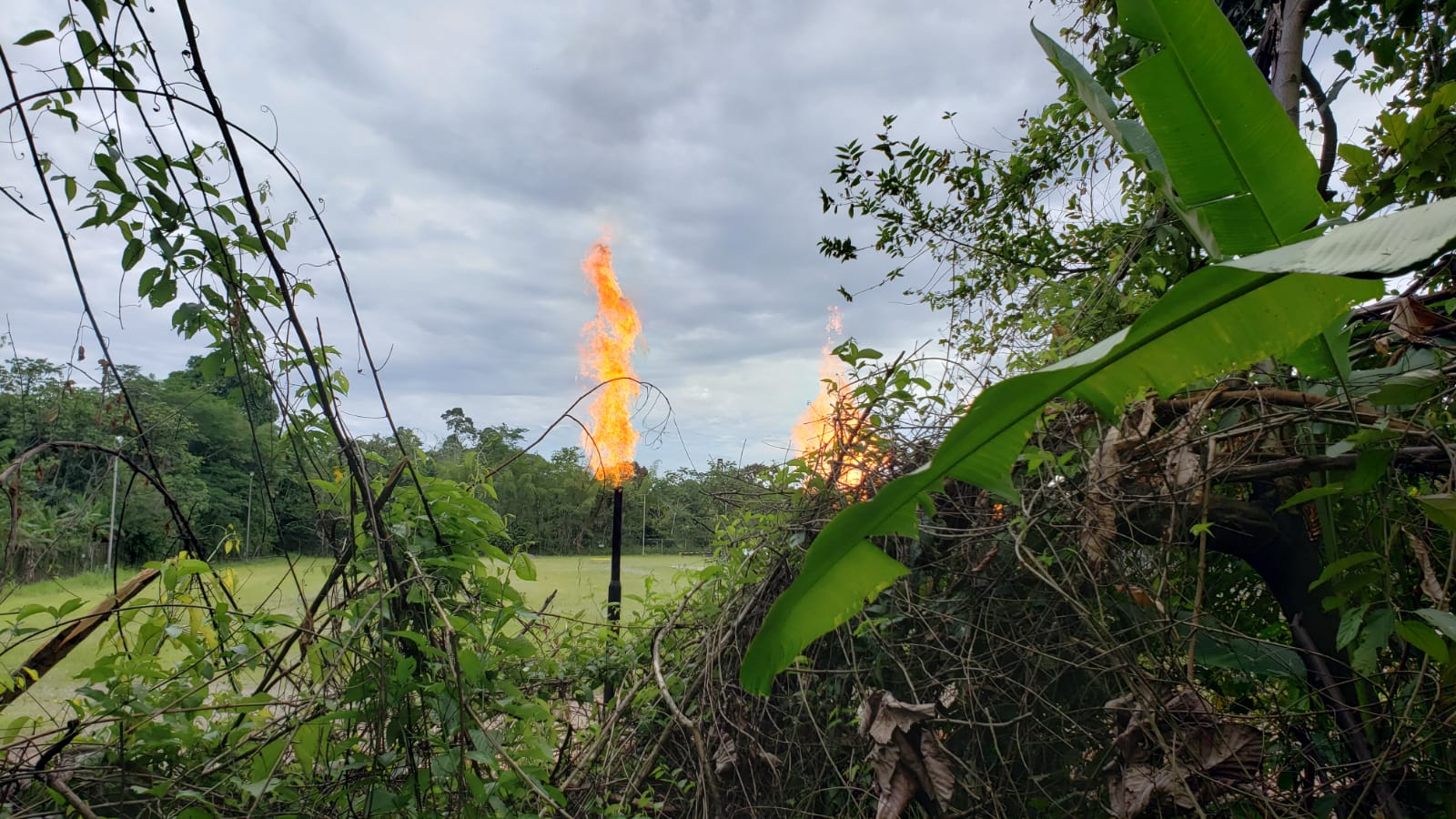 Amazon’s Catholic activists see oil pipelines as an ‘artery of death’