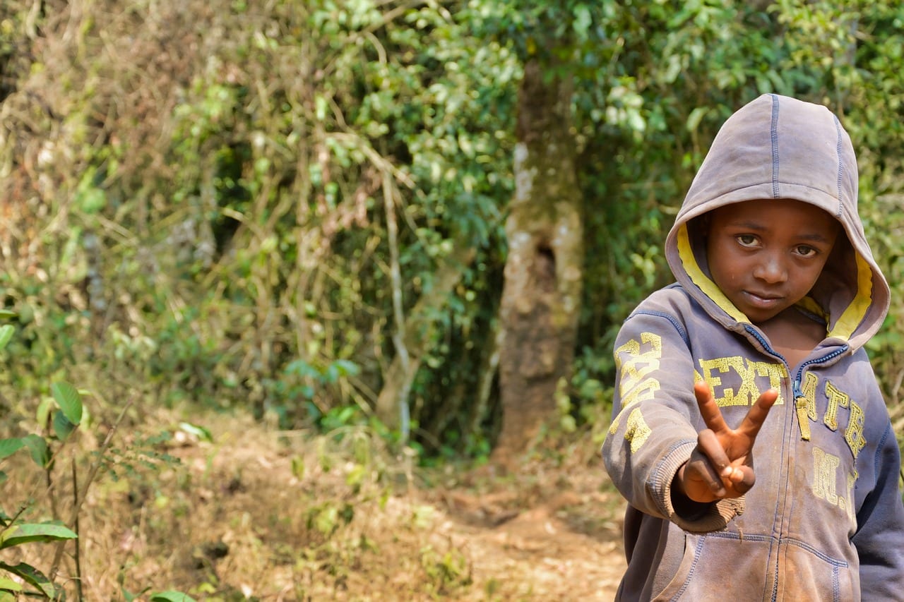 Cardinal calls for schools to reopen in Cameroon’s English-speaking regions