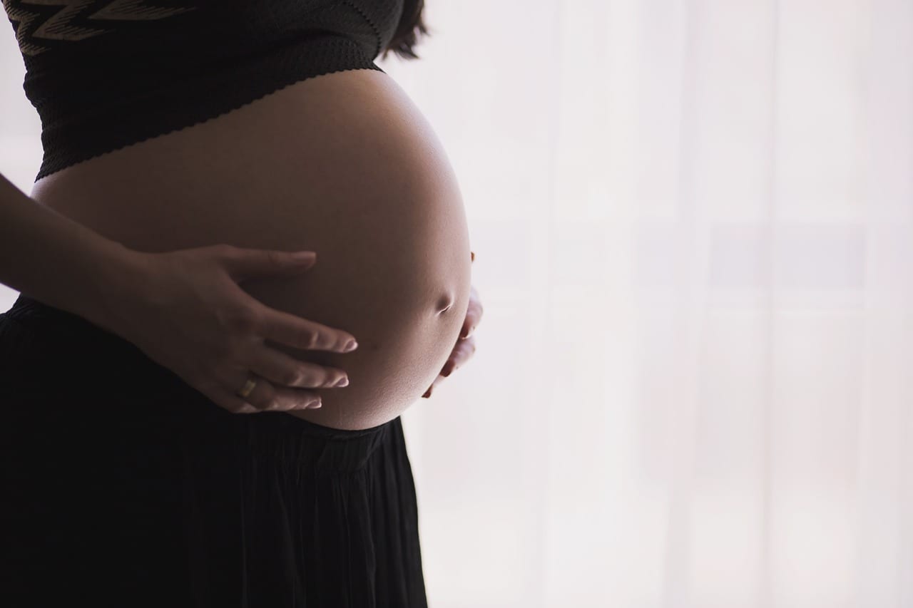 Symposium considers future with Roe v. Wade decision repealed
