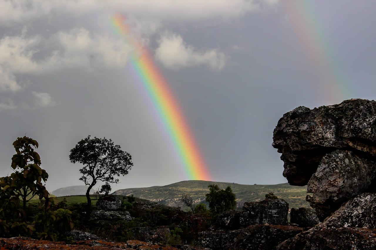 African youth challenged to do more to fight climate change