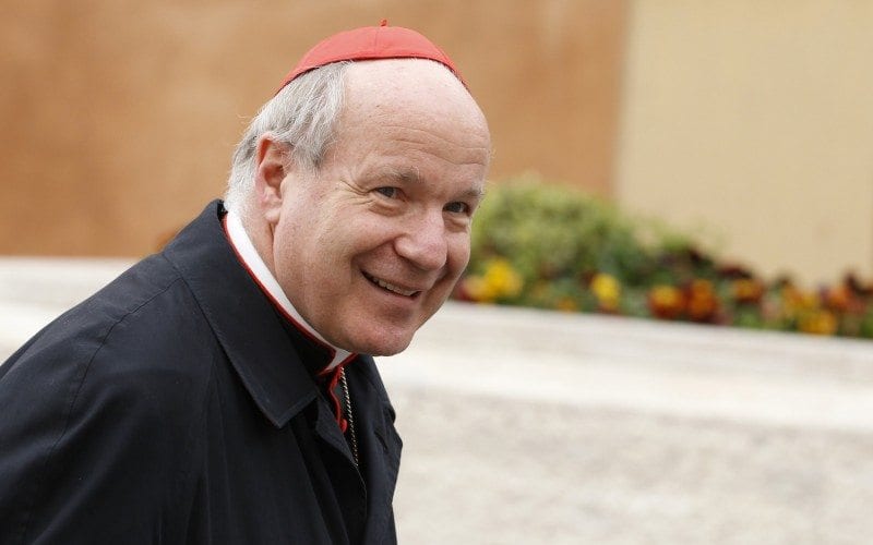 Cardinal who backs progressives tapped to present family manifesto