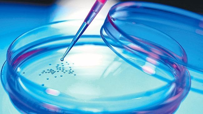 Bush has been vindicated on stem cell decision