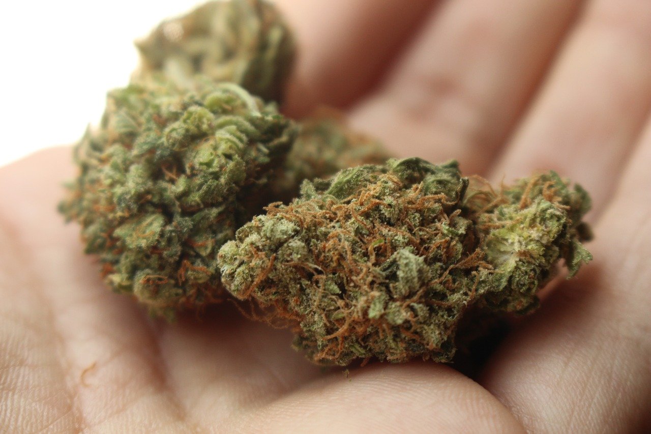 New Zealand bishops say ‘No’ to euthanasia; urge caution on recreational marijuana