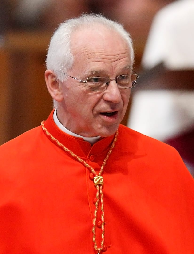 Belgian cardinal says secularism can offer a new perspective