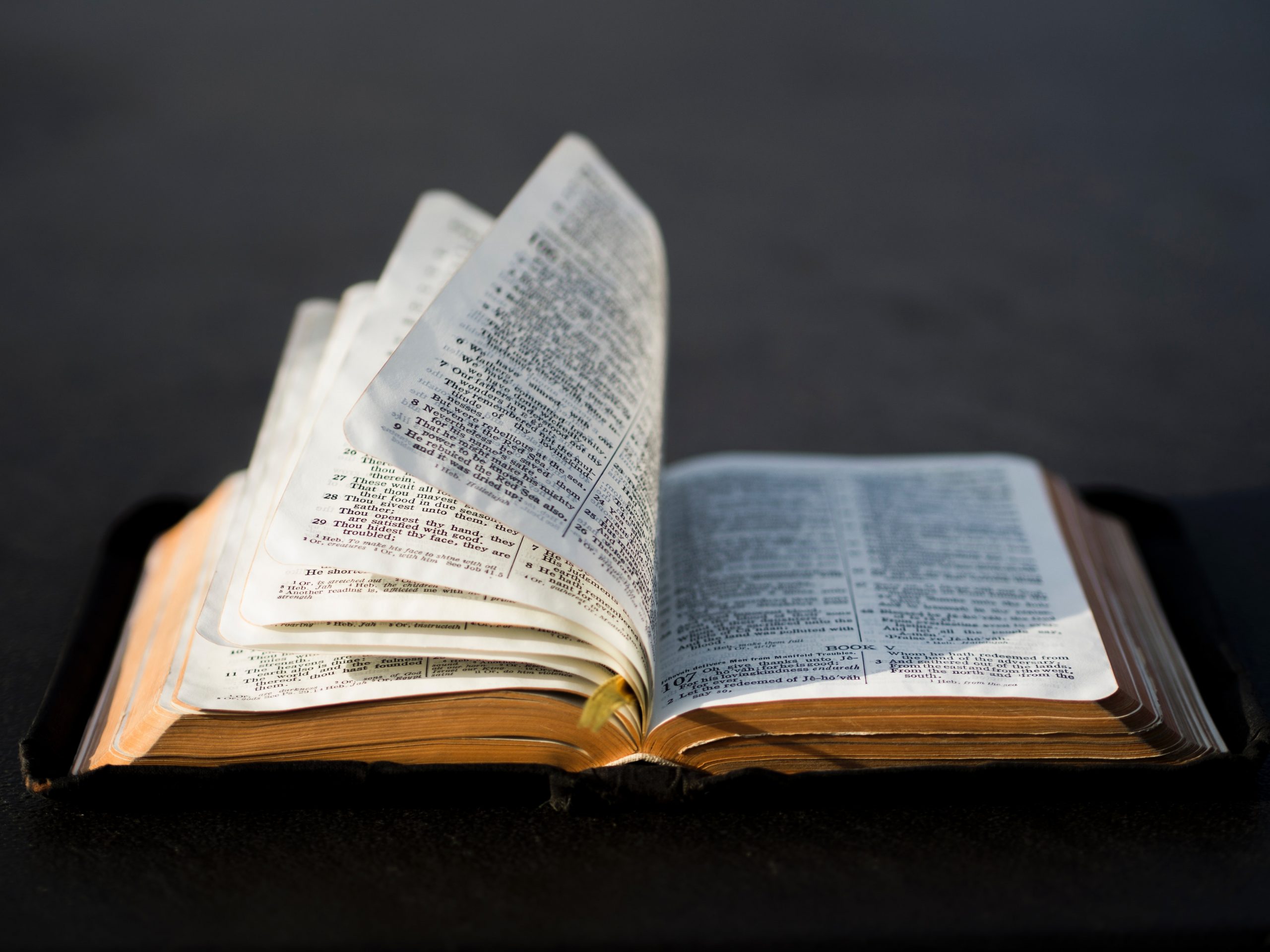 Plaintiffs propose replacing Bible with Book of Faith