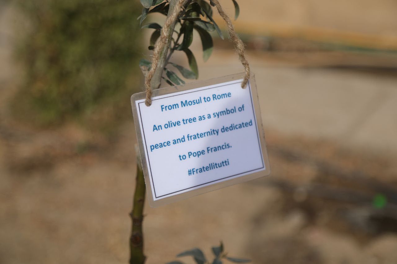 Green Mosul project to plant 5000 trees in war-torn Iraqi city